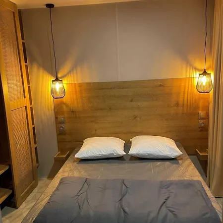 Joli 3 étoiles Avec Piscine La Tremblade