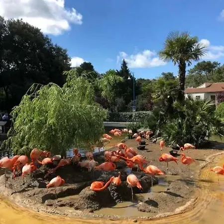 Campingplads 3 Etoiles - Piscine - Eehch0 *