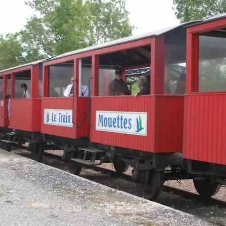 Campsite Joli 3 Etoiles Avec Piscine La Tremblade
