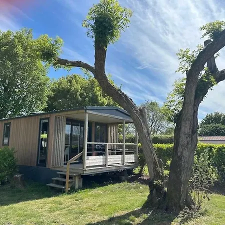 3 Etoiles - Piscine - Eehch0 Campingplads