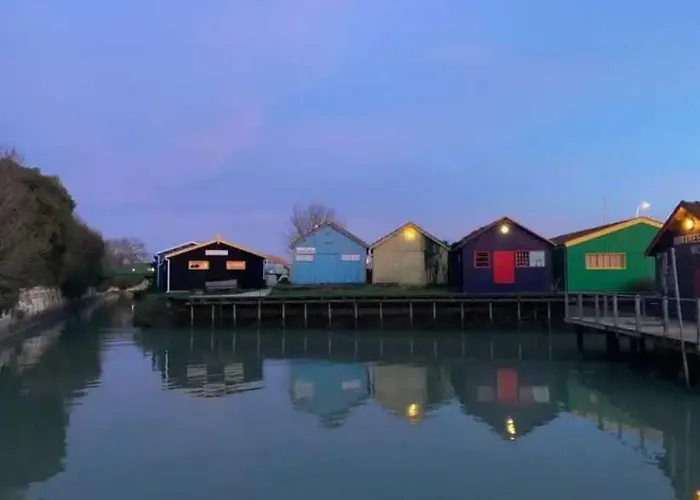 Joli 3 Etoiles Avec Piscine La Tremblade
