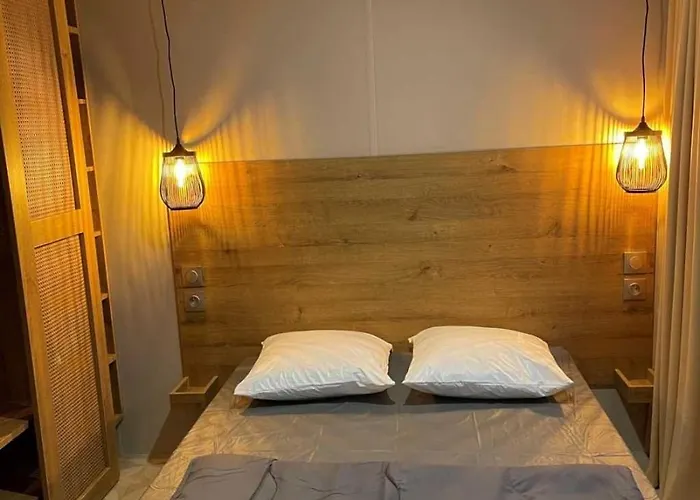 Joli 3 Etoiles Avec Piscine La Tremblade